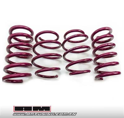 Kit Ressorts courts  VW Polo 7 (6R) 1.2, 1.4, 1.6 Rab : -30/-50mm